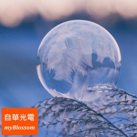 自華光電®標準硼矽酸玻璃晶圓 myBlossom® Glass Wafer